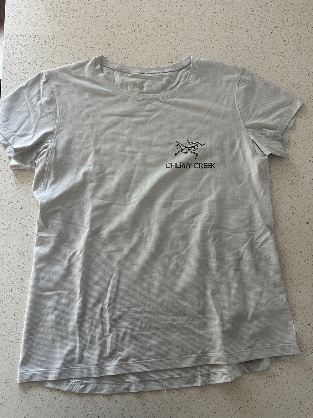 Arcteryx baby blue Crewneck Tee